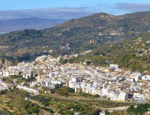 El municipio percibirá algo más de 42.000 euros en concepto de ayuda por el paso de la DANA a través de la Junta de Andalucía